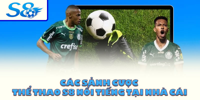 Các sảnh cược thể thao S8 nổi tiếng tại nhà cái