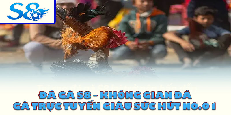 Đá Gà S8 – Không Gian Đá Gà Trực Tuyến Giàu Sức Hút No.01