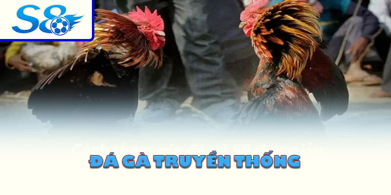 Đá gà truyền thống