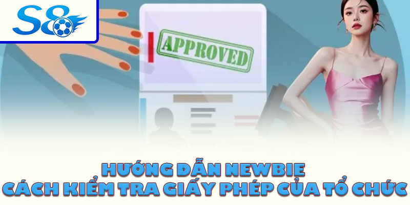 Hướng dẫn newbie cách kiểm tra giấy phép của tổ chức